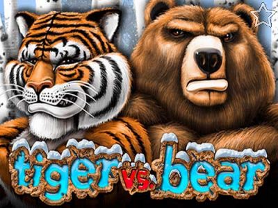 Tiger vs Bear