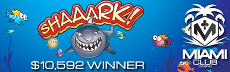 shaaark 10k